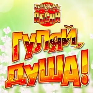 Гуляй, душа! Душевные песни vol.19